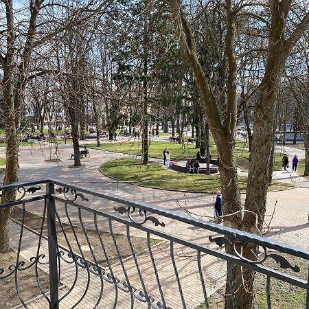 Park Apartment Winnica Zewnętrze zdjęcie
